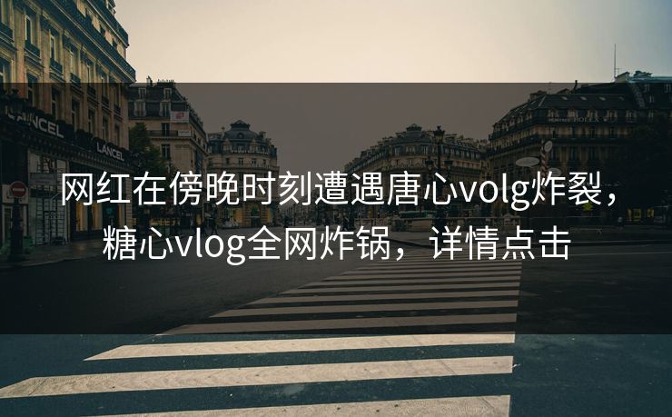 网红在傍晚时刻遭遇唐心volg炸裂,糖心vlog全网炸锅,详情点击 网红在傍晚时刻遭遇唐心volg炸裂,糖心vlog全网炸锅,详情点击