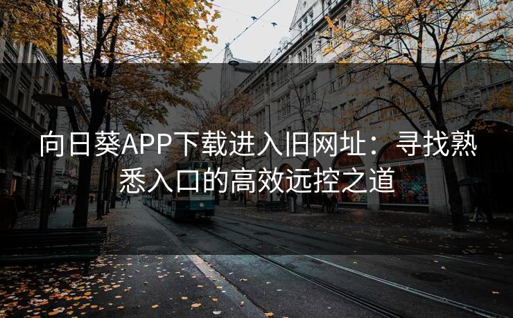 向日葵APP下载进入旧网址:寻找熟悉入口的高效远控之道 向日葵APP下载进入旧网址:寻找熟悉入口的高效远控之道