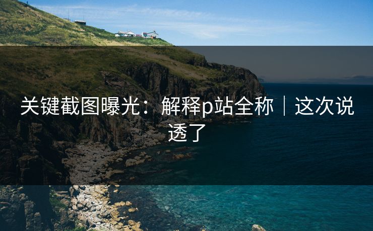 关键截图曝光:解释p站全称|这次说透了 关键截图曝光:解释p站全称|这次说透了